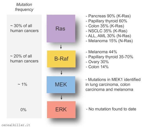 ESMO 2012 (parte 3): Exelixis continua ad impressionare, nonostante tutto