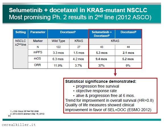 Array (ARRY) verso ASH12, il punto dopo la conference call