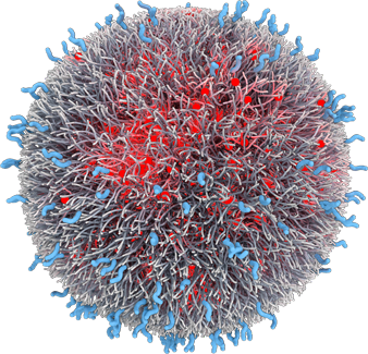 BIND Therapeutics ($BIND), prima ardua sfida dopo lo sbarco