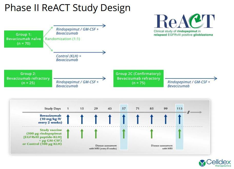 Celldex Therapeutics ($CLDX): quello che gli analisti non vi dicono, ve ...
