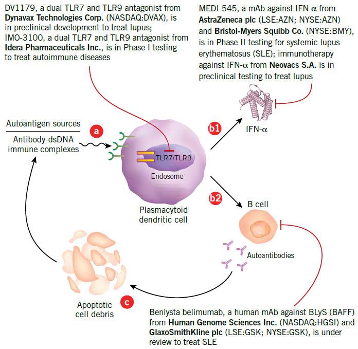 Idera ($IDRA): storia di una salita annunciata, ed ora?