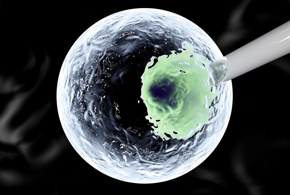 Stemline ($STML), SL-401 comincia a svelare parte dei suoi misteri