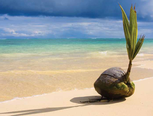 Galapagos NV ($GLPG) – la selezione naturale premia Filgotinib