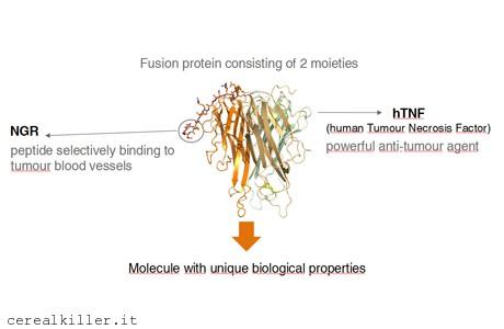Molmed ($MLM) al Jefferies Global Healthcare Conference, nuovi dati in arrivo…