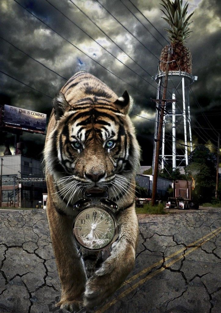 Ziopharm ($ZIOP), Celsion ($CLSN) e Cell Therapeutics ($CTIC): dati in arrivo dalle fasi 3